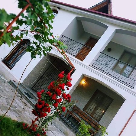 Dushet'i Villa "Zepuri" المظهر الخارجي الصورة