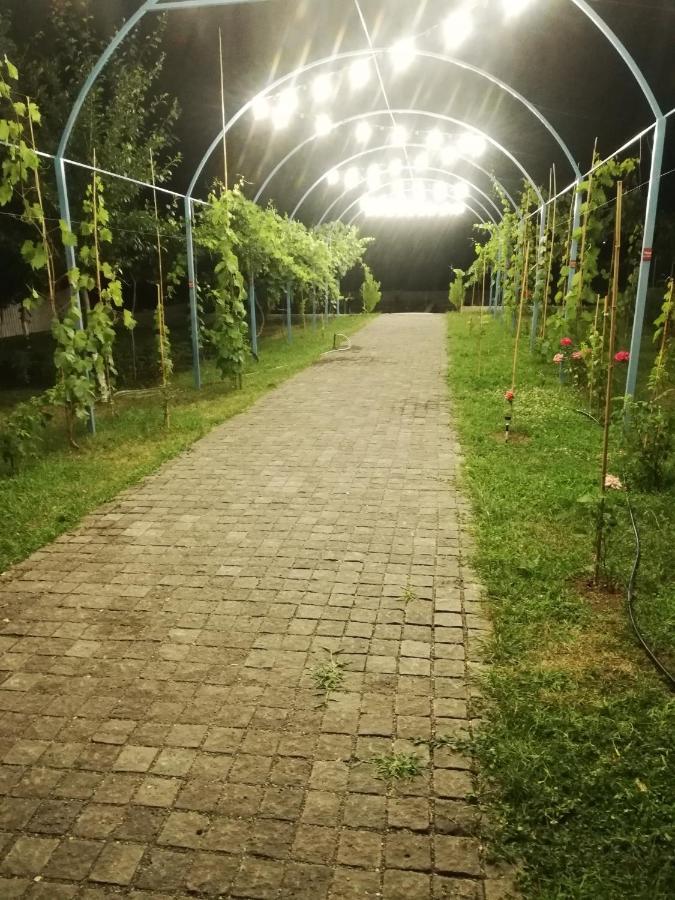 Dushet'i Villa "Zepuri" المظهر الخارجي الصورة