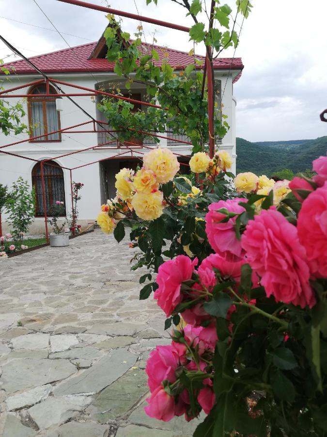 Dushet'i Villa "Zepuri" المظهر الخارجي الصورة