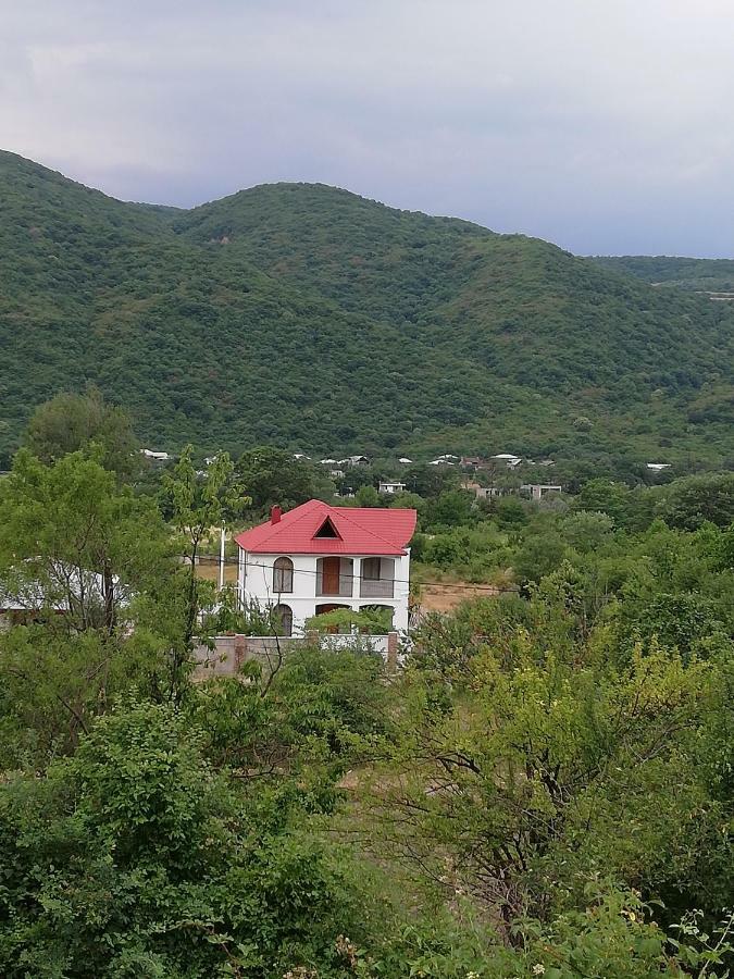 Dushet'i Villa "Zepuri" المظهر الخارجي الصورة
